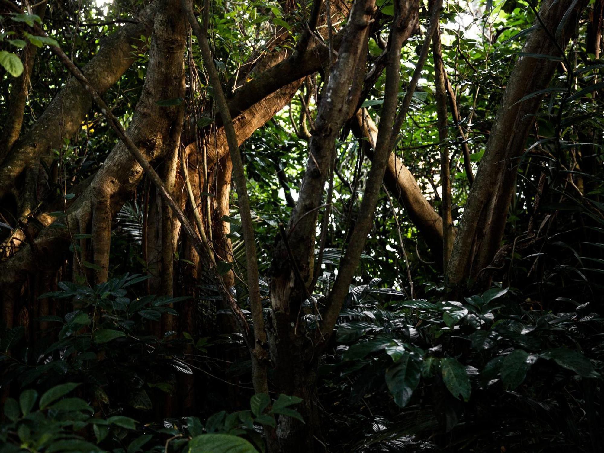 Jusandi Ishigaki  Exterior foto