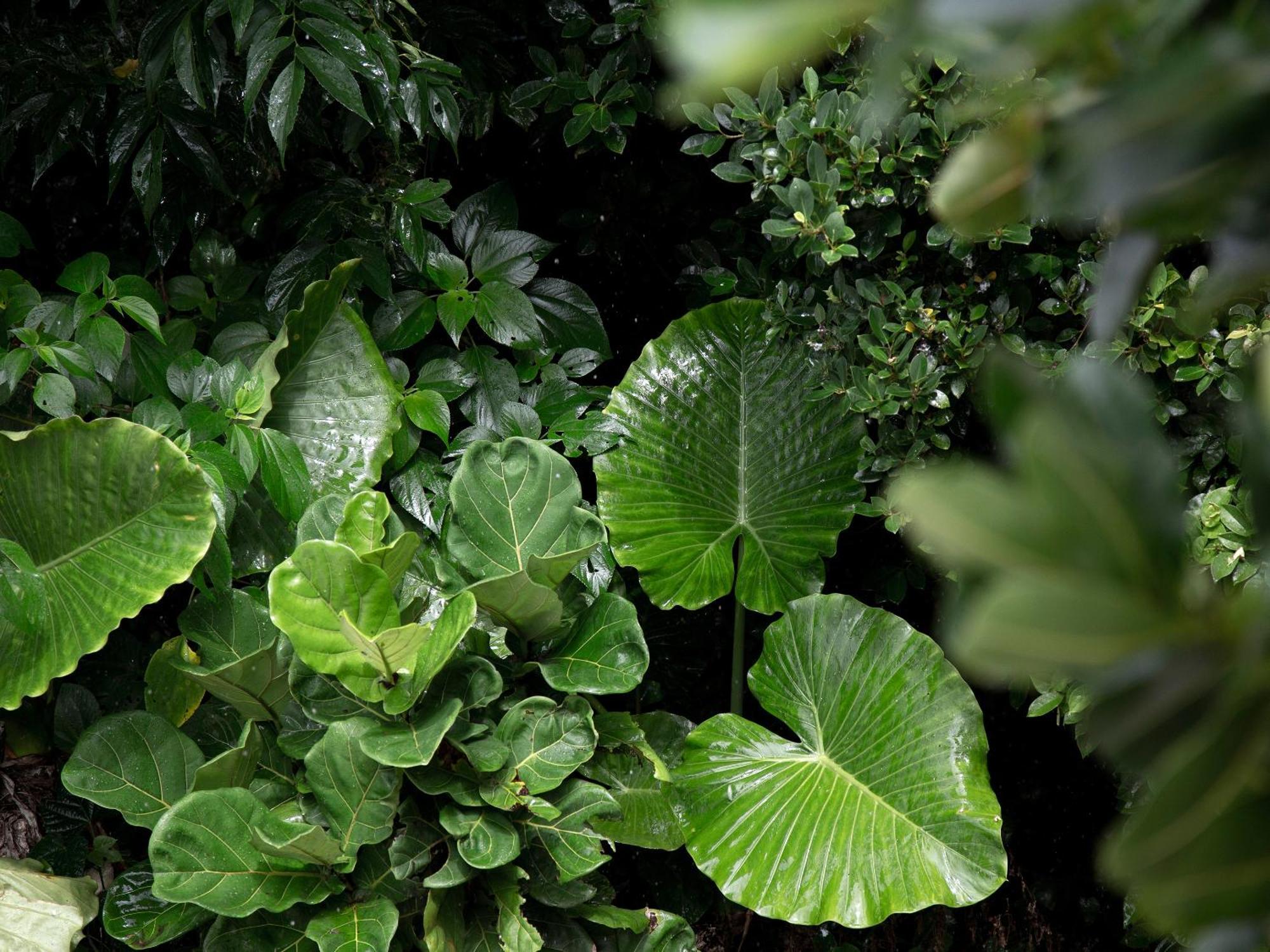 Jusandi Ishigaki  Exterior foto